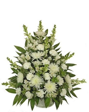 As Shown size, inches height and inches wide.