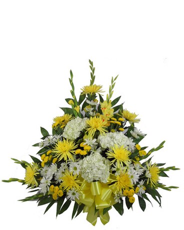 As Shown size, inches height and inches wide.