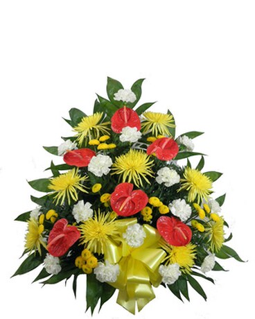 As Shown size, inches height and inches wide.