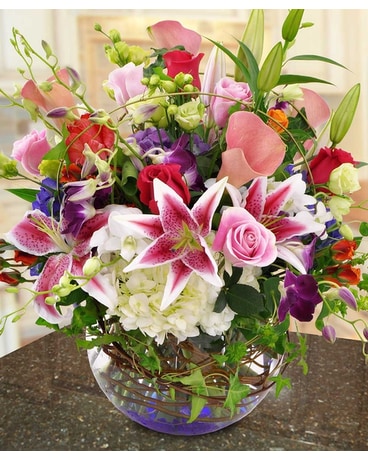 Full & Lush size, inches height and inches wide.