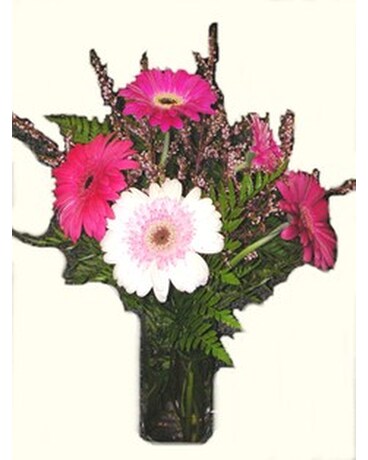 As Shown size, inches height and inches wide.
