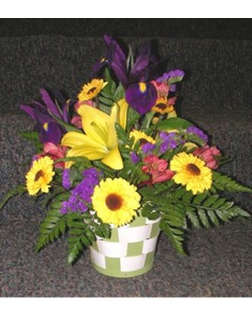 As Shown size, inches height and inches wide.