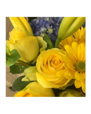 Whitman Colors (Blue and Yellow) size, inches height and inches wide.