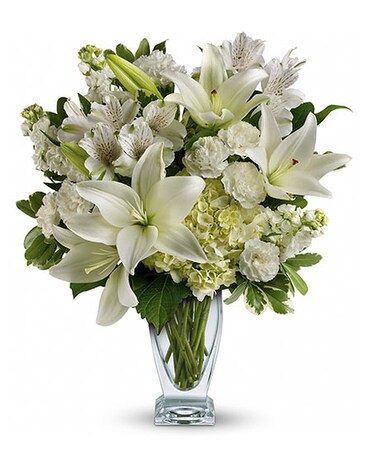 Deluxe Large and Lush size, inches height and inches wide.
