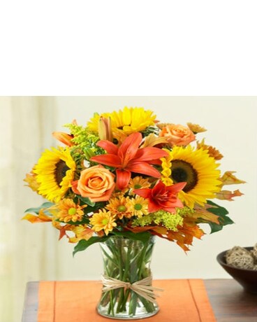Deluxe- as shown size, inches height and inches wide.
