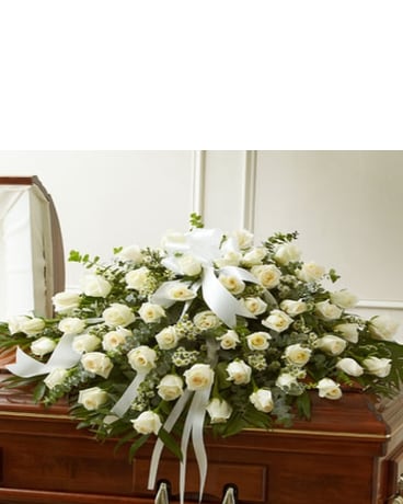 As Shown-5 DZ size, inches height and inches wide.