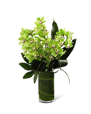 5 Stems - Shown size, inches height and inches wide.