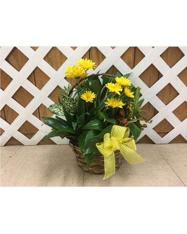 8" Wicker Basket size, inches height and inches wide.