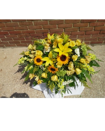 As Shown size, inches height and inches wide.