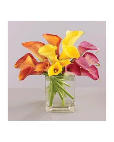 15 stems size, inches height and inches wide.