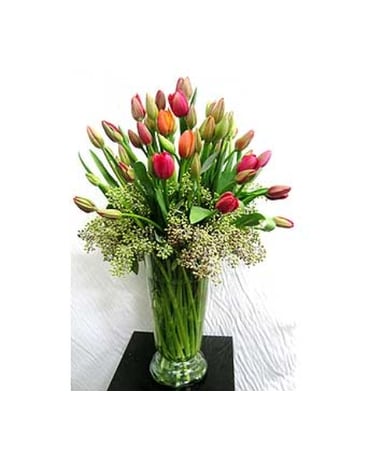Special size, inches height and inches wide.