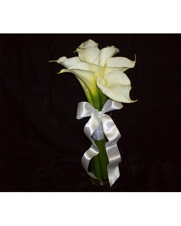 As Shown size, inches height and inches wide.