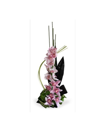 As Shown size, inches height and inches wide.