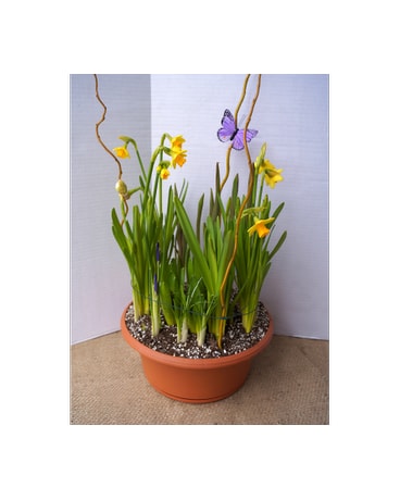 As Shown size, inches height and inches wide.