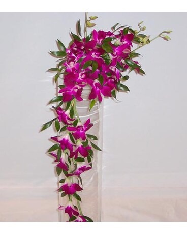 As Shown size, inches height and inches wide.