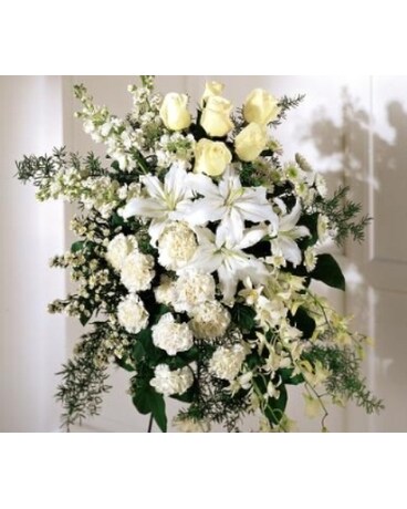 As Shown size, inches height and inches wide.