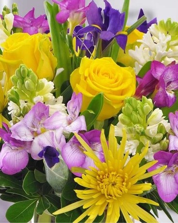 Standard in Vase size, inches height and inches wide.