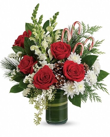 Deluxe size, 18 and a half inches height and 16 and a half inches wide.