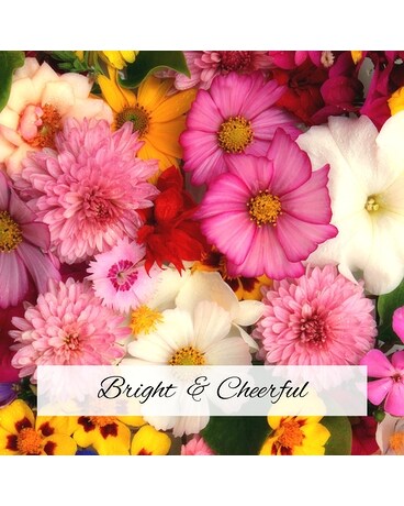 Premium in Vase size, inches height and inches wide.