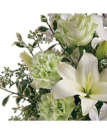 Standard Arrangement size, inches height and inches wide.