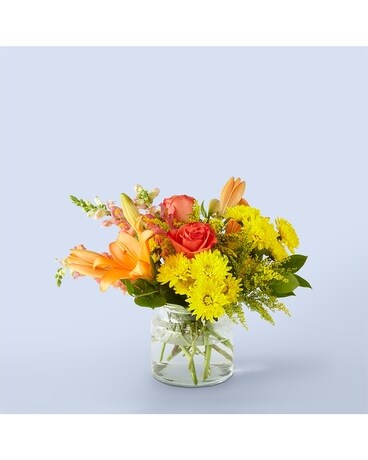 Deluxe size, inches height and inches wide.
