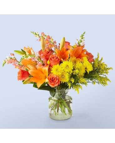 Excellent size, inches height and inches wide.