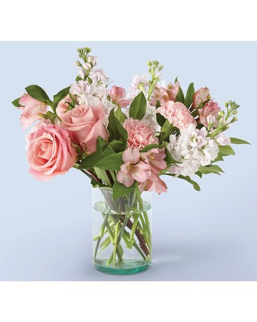 Deluxe size, inches height and inches wide.