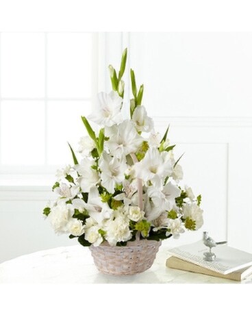 Deluxe size, inches height and inches wide.