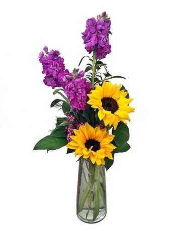 Premium size, inches height and inches wide.