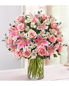 Deluxe size, inches height and inches wide.