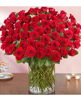 Red size, inches height and inches wide.