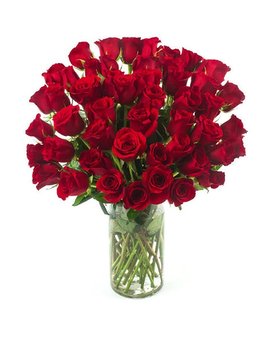 Red Long Stem Roses size, inches height and inches wide.