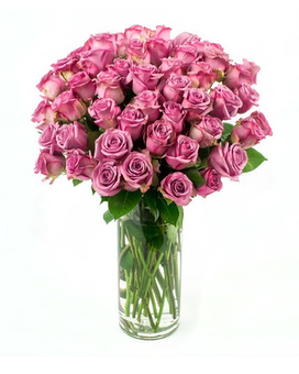 Lavender Long Stem Roses size, inches height and inches wide.