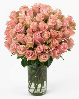 Pink Long Stem Roses size, inches height and inches wide.