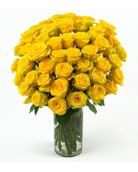 Yellow Long Stem Roses size, inches height and inches wide.