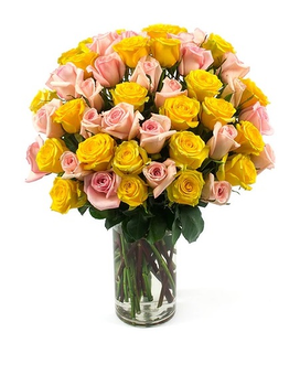 Pink and Yellow Long Stem Roses size, inches height and inches wide.