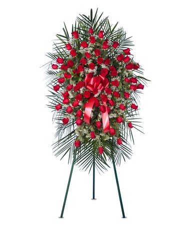 Standard - 2 dozen size, inches height and inches wide.