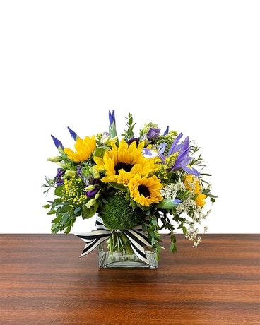 Tuscan Garden size, 12 inches height and 12 inches wide.