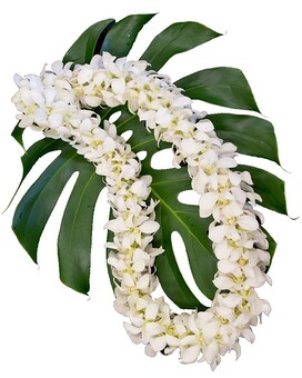 Double Strand All White with a Bow size, inches height and inches wide.