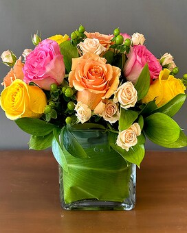 Larger & Fuller size, 12 inches height and 12 inches wide.