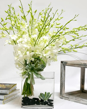 20 Stems size, inches height and inches wide.