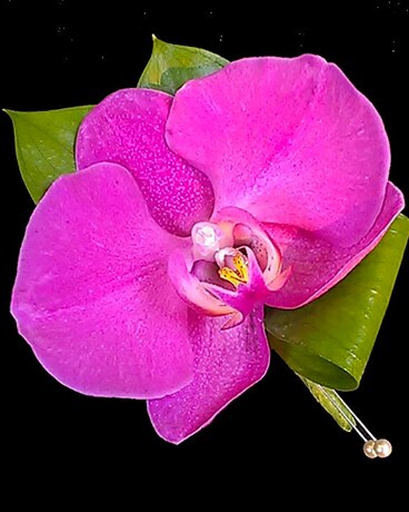 Corsage size, inches height and inches wide.