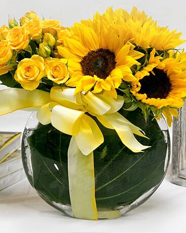 As Shown size, 10 inches height and 12 inches wide.