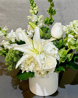 Fuller size, 15 inches height and 15 inches wide.