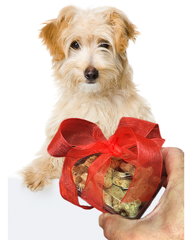 Box of Dog Treats size, inches height and inches wide.