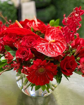 Red Ruby - Fuller size, 12 inches height and 12 inches wide.