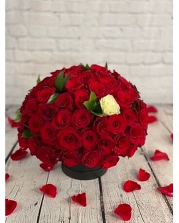 50 Roses size, inches height and inches wide.
