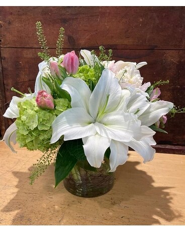 Fabulous (as shown) size, inches height and inches wide.