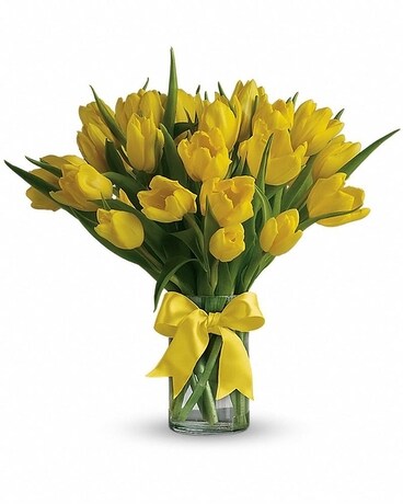 20 Tulips size, 17 inches height and 15 inches wide.