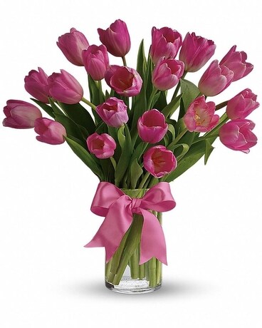 20 Tulips size, 17 inches height and 15 inches wide.